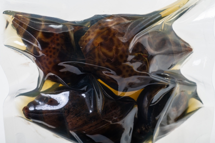 黒バイ貝塩茹で2